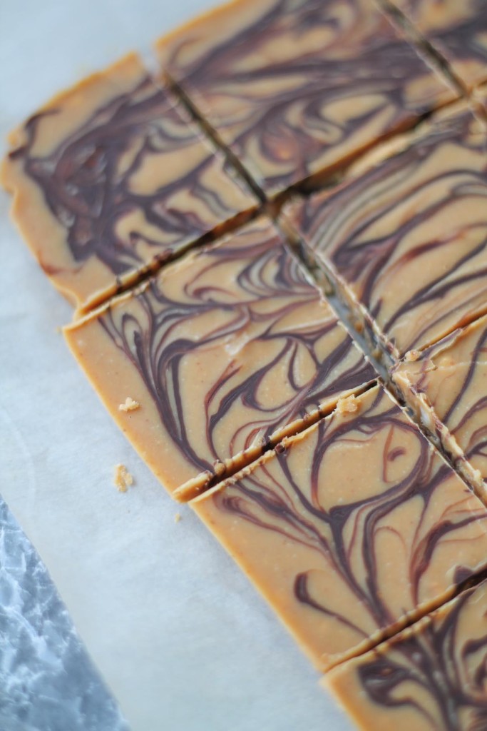 Coconut-Oil-Peanut-Butter-Fudge-683x10241