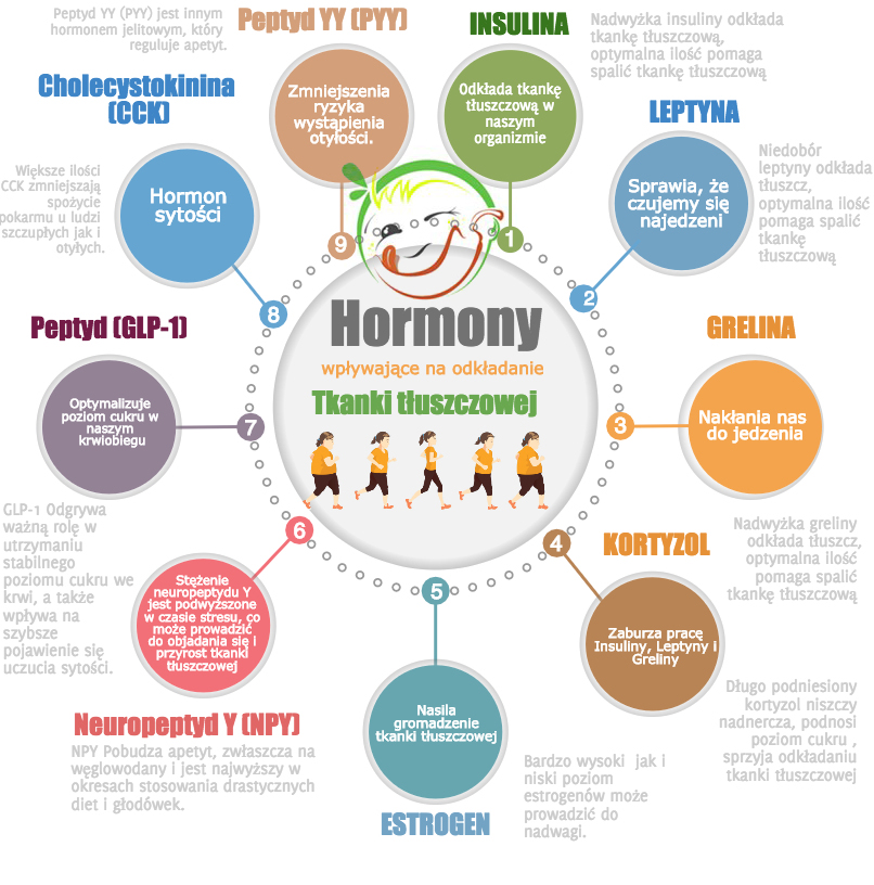 hormonyspalanietkanki tluszczowej