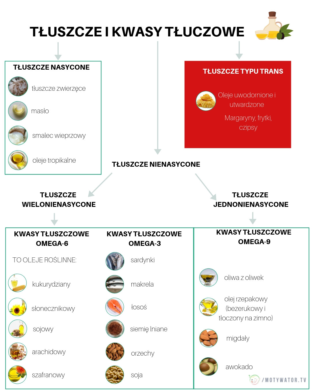 Oliwa z oliwek vs. olej roślinny – co jest zdrowsze?