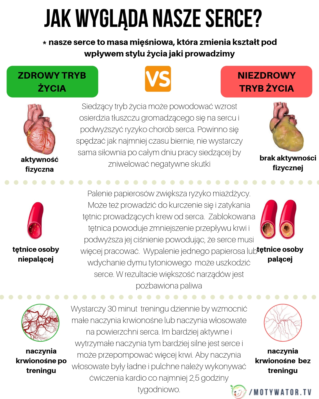 Tajemnice Ludzkiego Serca ODKRYTE: 5 Kluczowych Funkcji i NIESPODZIEWANE Sposoby na Ich Wsparcie!”