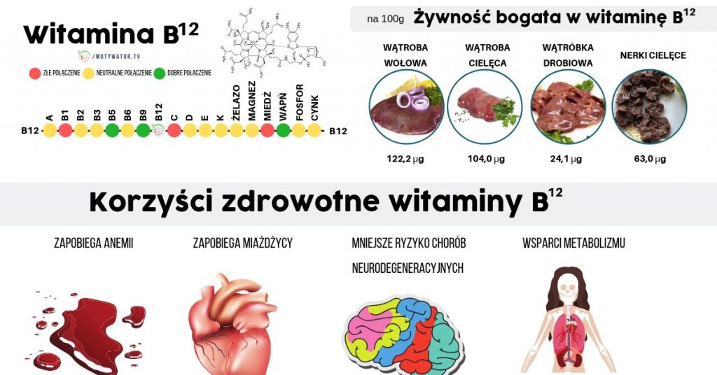 Wszystko O Witaminie B12 Kobalamina – Dawkowanie, Najlepsze źródła ...