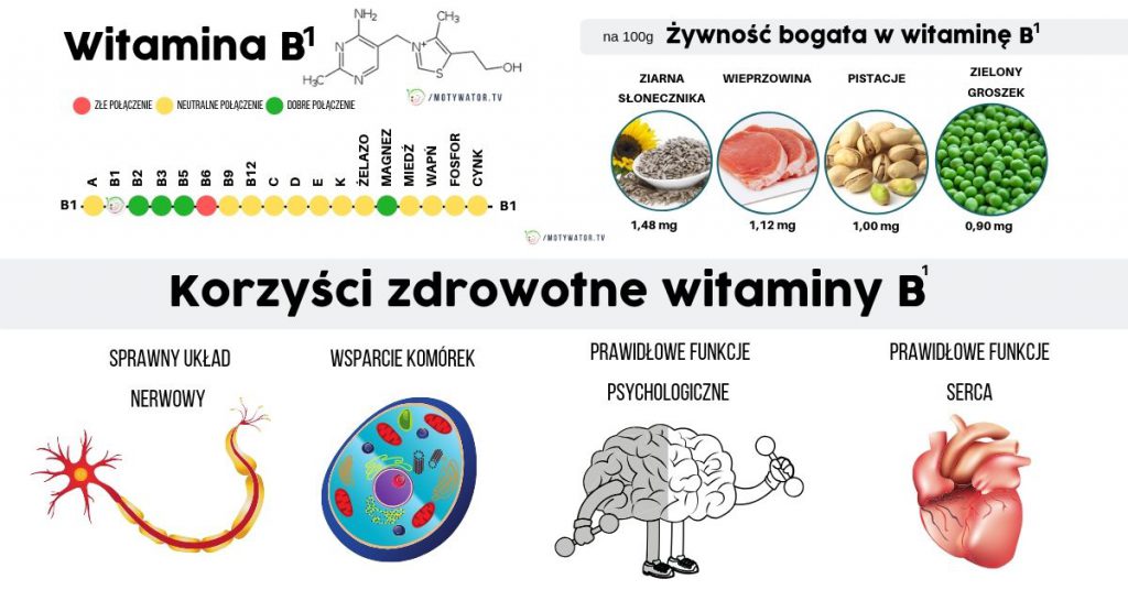 Wszystko O Witaminie B1 Tiamina Dawkowanie Najlepsze źródła Korzyści Przeciwwskazania 9761