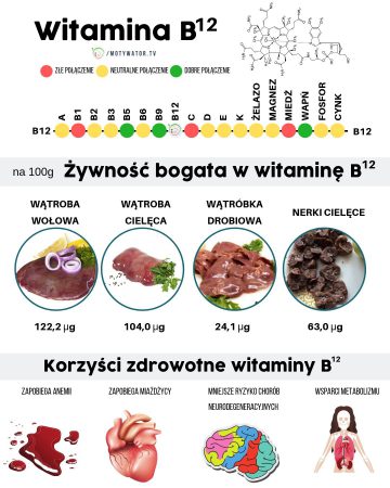 Wszystko O Witaminie B12 Kobalamina – Dawkowanie, Najlepsze źródła ...