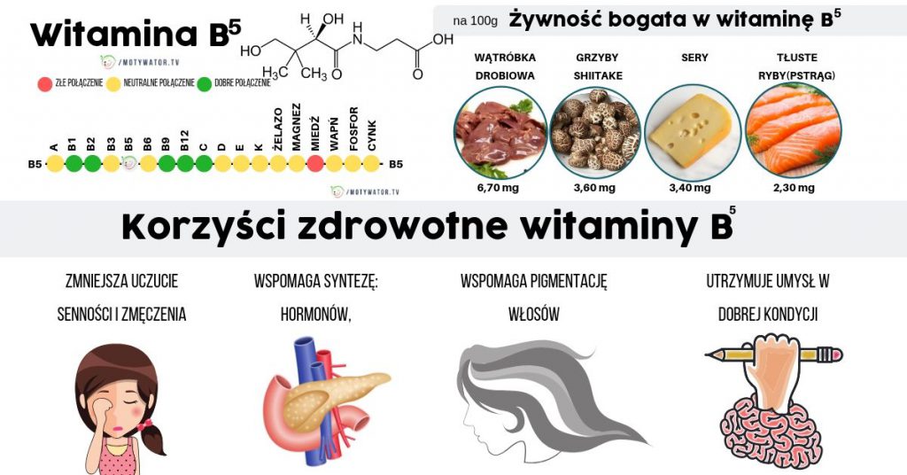 Wszystko O Witaminie B5 Kwas Pantotenowy – Dawkowanie, Najlepsze źródła ...