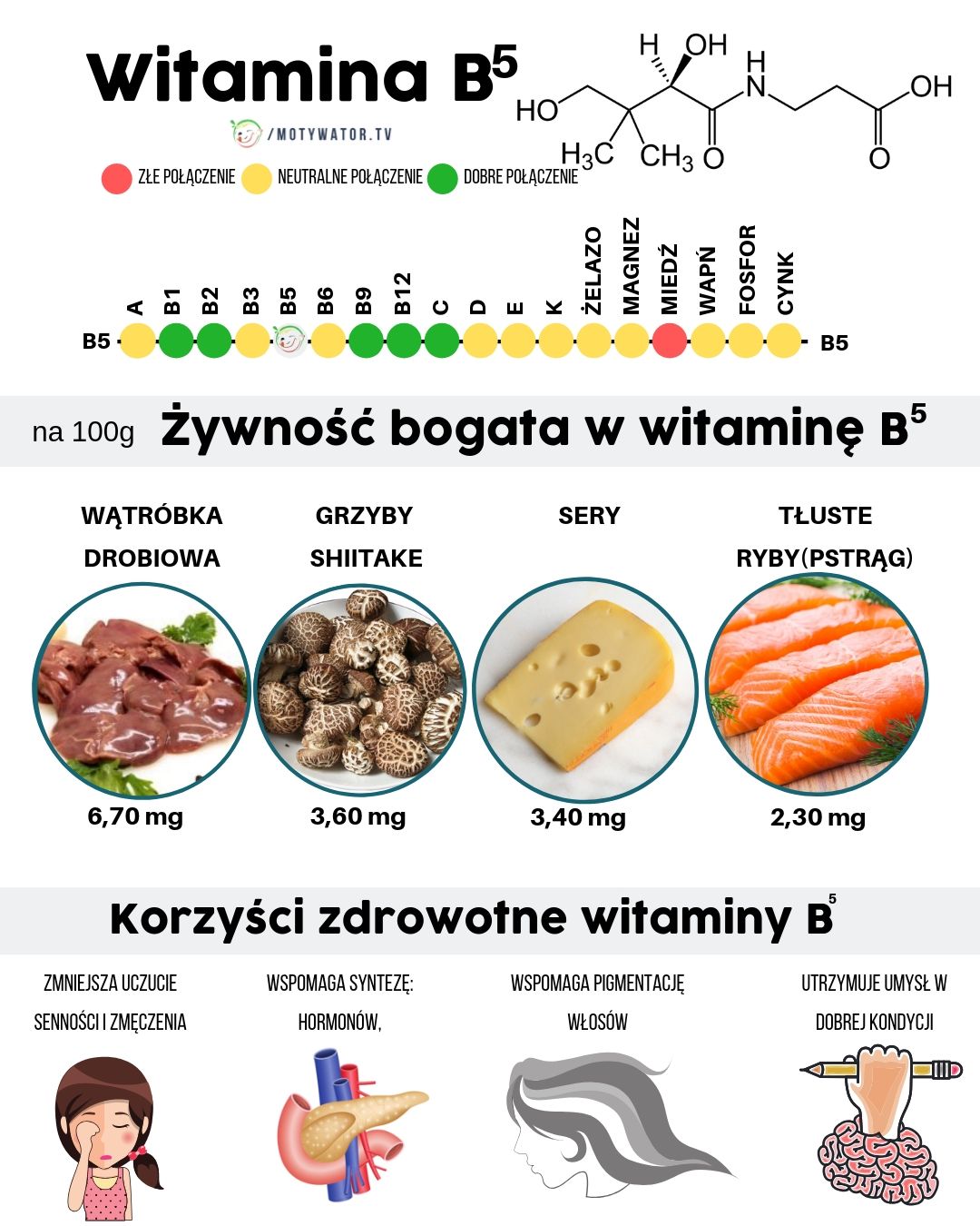 Wszystko O Witaminie B5 Kwas Pantotenowy – Dawkowanie, Najlepsze źródła ...