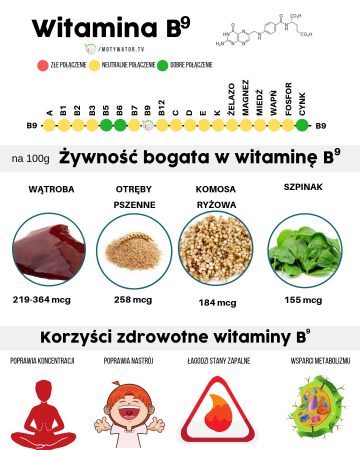 Wszystko O Witaminie B9 Kwas Foliowy – Dawkowanie, Najlepsze źródła ...