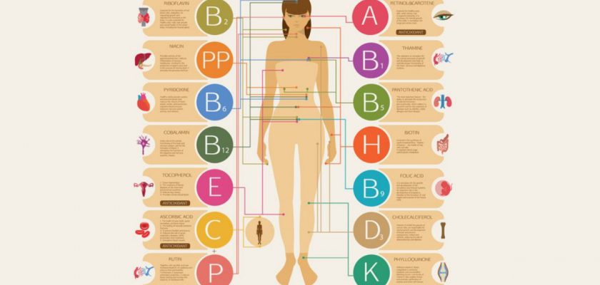 Wpływ Witamin Na Organizm Człowieka Procesy Metaboliczne I