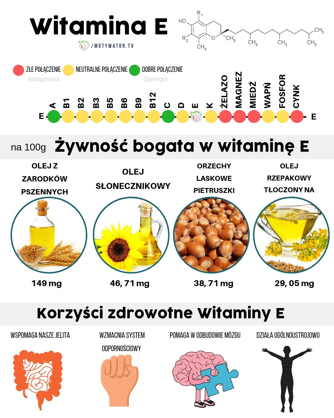 Wszystko O Witaminie E Dawkowanie Najlepsze źródła Korzyści Przeciwwskazania Motywator 6721