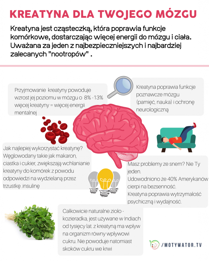 Kreatyna – Wszystko Co Musisz O Niej Wiedzieć. Dawkowanie, Dla Kogo, Po ...