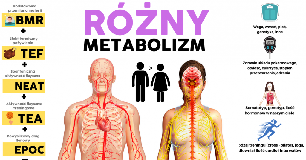 Różni ludzie, różny metabolizm – Motywator Dietetyczny - Jak Książki Wpływają Na Człowieka