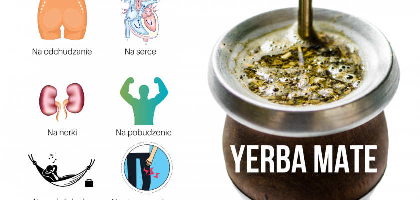 slinger Vies streepje 8 korzyści zdrowotnych Yerba Mate (wspieranych przez naukę) – Motywator  Dietetyczny