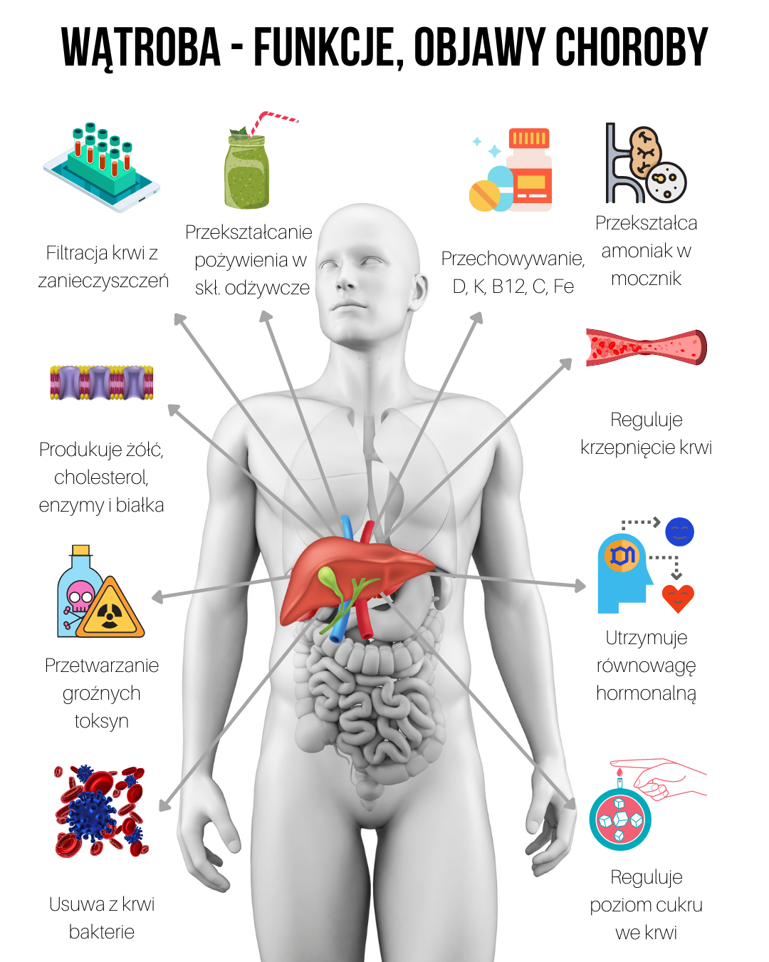 Po tym poznasz, iż masz chorą wątrobę + Jak wspomagać pracę wątroby