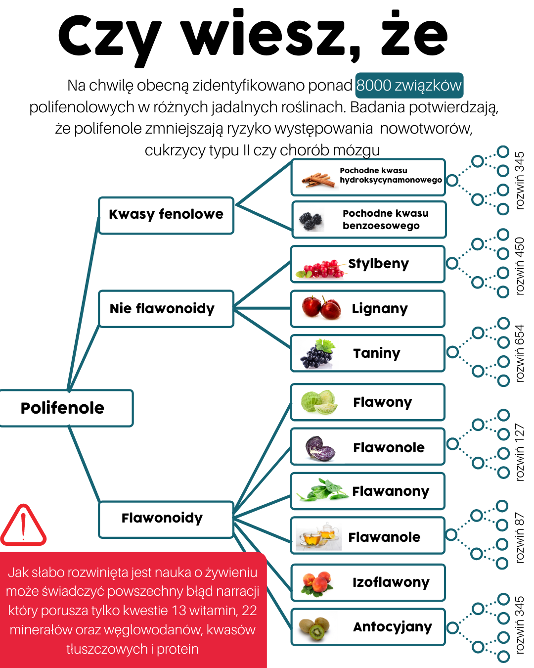 Mało znane ANTOCYJANY – sposób na cukrzycę II, choroby serca i mózgu