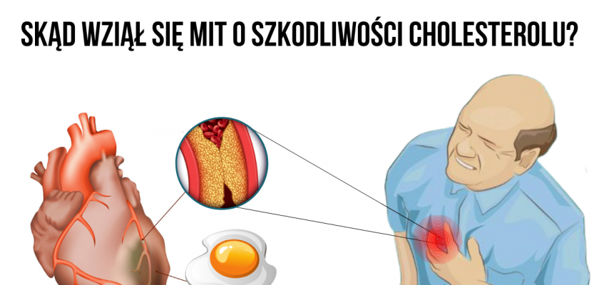 Skąd Wziął Się Mit O Szkodliwości Cholesterolu Komu Szkodzi Cholesterol Motywator Dietetyczny 7855