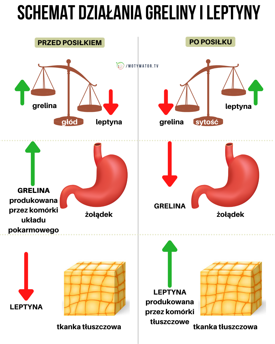 6 sposobów na wieczorne podjadanie – Jak zmniejszyć ryzyko podjadania słodyczy wieczorem?