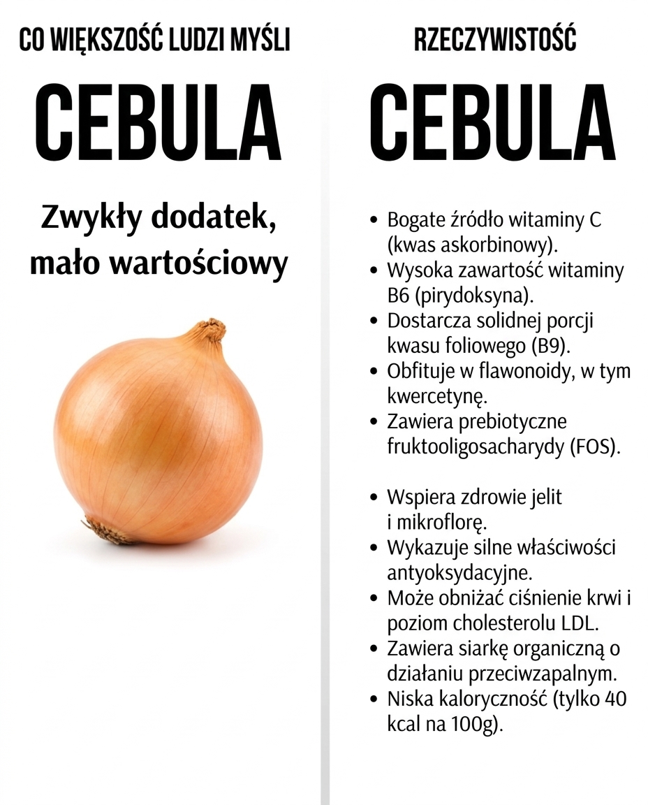 Cebula: Właściwości, wartości odżywcze i korzyści