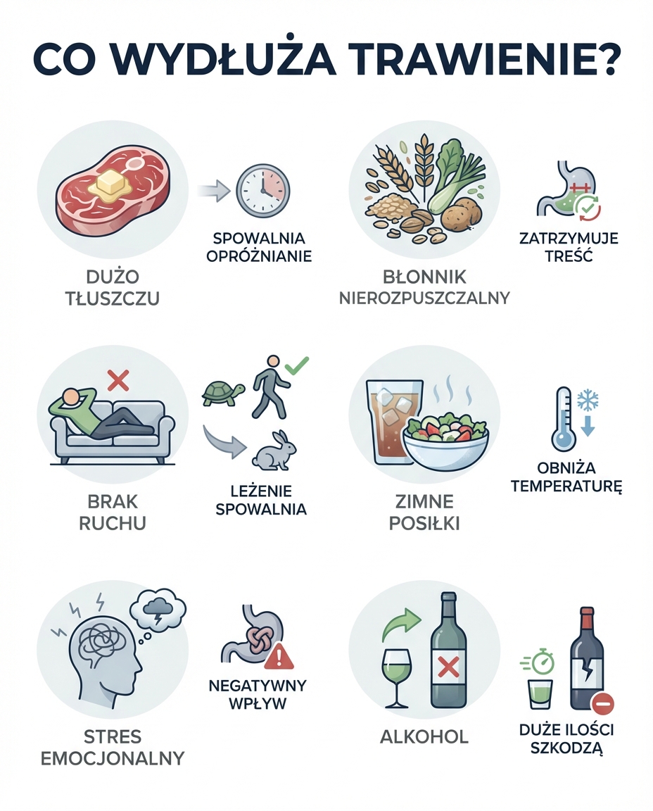Jakie czynniki wydłużają czas trawienia pokarmu w żołądku?
Powyższe liczby to...